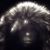 Ernest Allan Rhodes III's profile image
