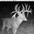 Drop Tine's profile image