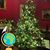 Susan Schulze Wright's profile image