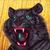 Casey Weldon's profile image