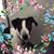 Raenita Mears's profile image