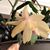Darlene Rose Agsten's profile image
