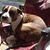 Mugsy Howard's profile image