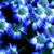 Judy Davis's profile image
