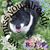 Elizabeth Baskin's profile image