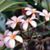 Joan McClelland's profile image