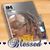 Sherron Rayford's profile image
