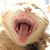 Bruce Holmen's profile image