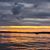 Jeanie Morin's profile image