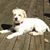 Christine Hamilton LaMantia's profile image