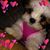 Eva Scraps's profile image