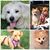 Anne Schiesel's profile image