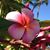 Christie Wilker Bausman's profile image