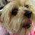 Debbie Gould's profile image