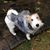 Lisa Schaffert's profile image