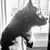 Cloudy Daze's profile image