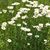 Mary Jo Shaw's profile image