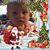 Sandy Friedrich's profile image