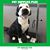 Shirley Setinc Baloun's profile image