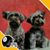 Dale Gerdin's profile image