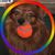 Randy Hayden's profile image