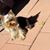JackyVictor Garcia's profile image