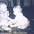 Art Woodard's profile image