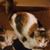 SharionLee Quinn Haynie's profile image