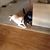Paula Wilsey's profile image