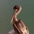 Judy Ortwein's profile image