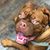 Diana Julissa Dodson's profile image