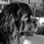 Maria LaBella's profile image