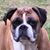 Kathleen Fitzgerald's profile image