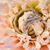 Ellen McKeon's profile image