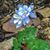 Susan Moore's profile image