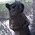 Angel Dee Manning's profile image
