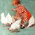 Linda Weedon's profile image