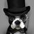 Aaron Brunello's profile image