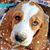 Jennifer Burnette's profile image