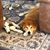 Sandy Lamphear Folan's profile image