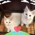 Jane Conlon-Werner's profile image