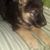 Boyd Adkins's profile image