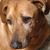 Eddie Broadbent's profile image