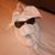 Tom DeBiase's profile image