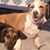 Karen Carlson-Avery's profile image