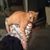 Melanie Garland's profile image