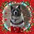 Brian J. Coffey's profile image