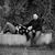 Arnulfo Pardo's profile image