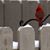 Luis Montes's profile image