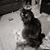 Diane Dahlberg-Harmon's profile image